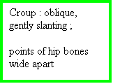 Casella di testo: Croup : oblique, gently slanting ;  

points of hip bones wide apart

