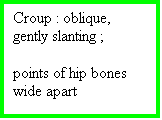 Casella di testo: Croup : oblique, gently slanting ;  

points of hip bones wide apart


