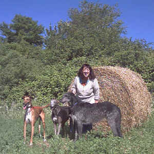 campo3.jpg (1680418 byte)