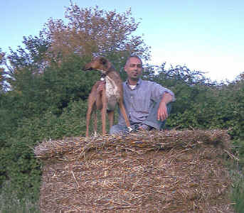 campo5.jpg (1375604 byte)