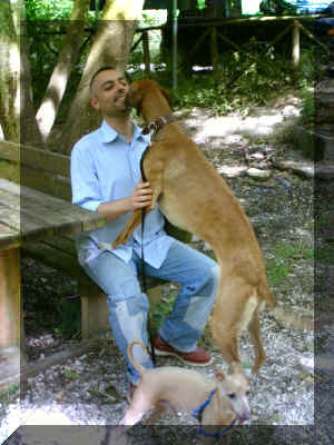 lulka2.jpg (20112 byte)